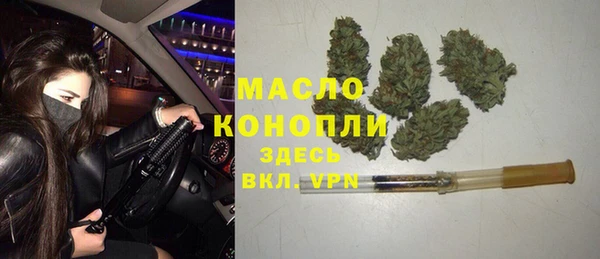 гашик Аркадак