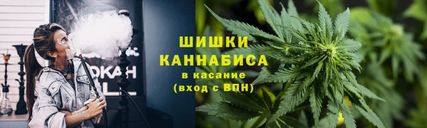 гашик Аркадак