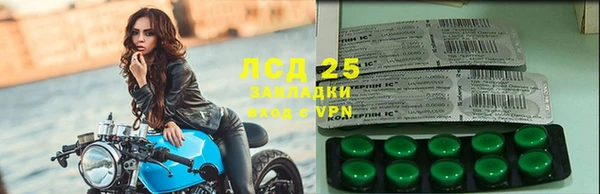 гашик Аркадак