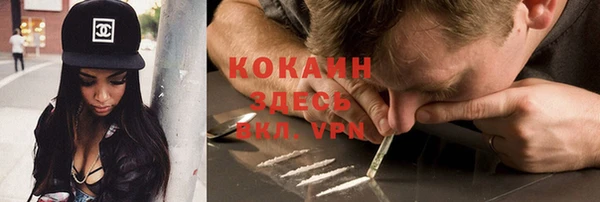 гашик Аркадак