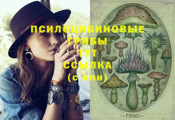 кокс Армянск