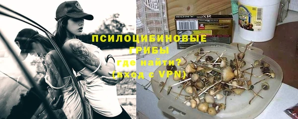гашик Аркадак